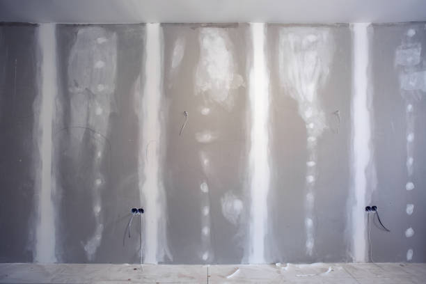 Best Ceiling Drywall Installation  in Princeville, HI